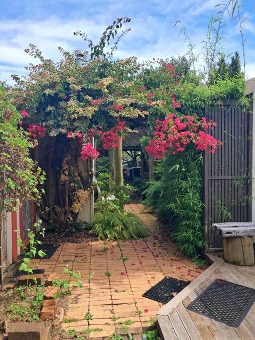 Secret Cottage Waitara Esterno foto