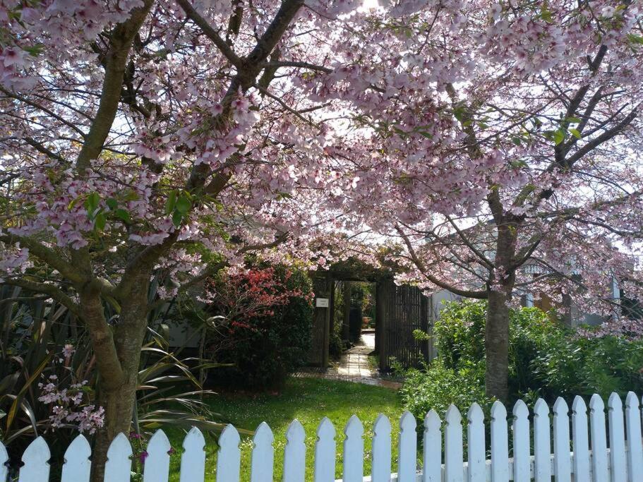 Secret Cottage Waitara Esterno foto